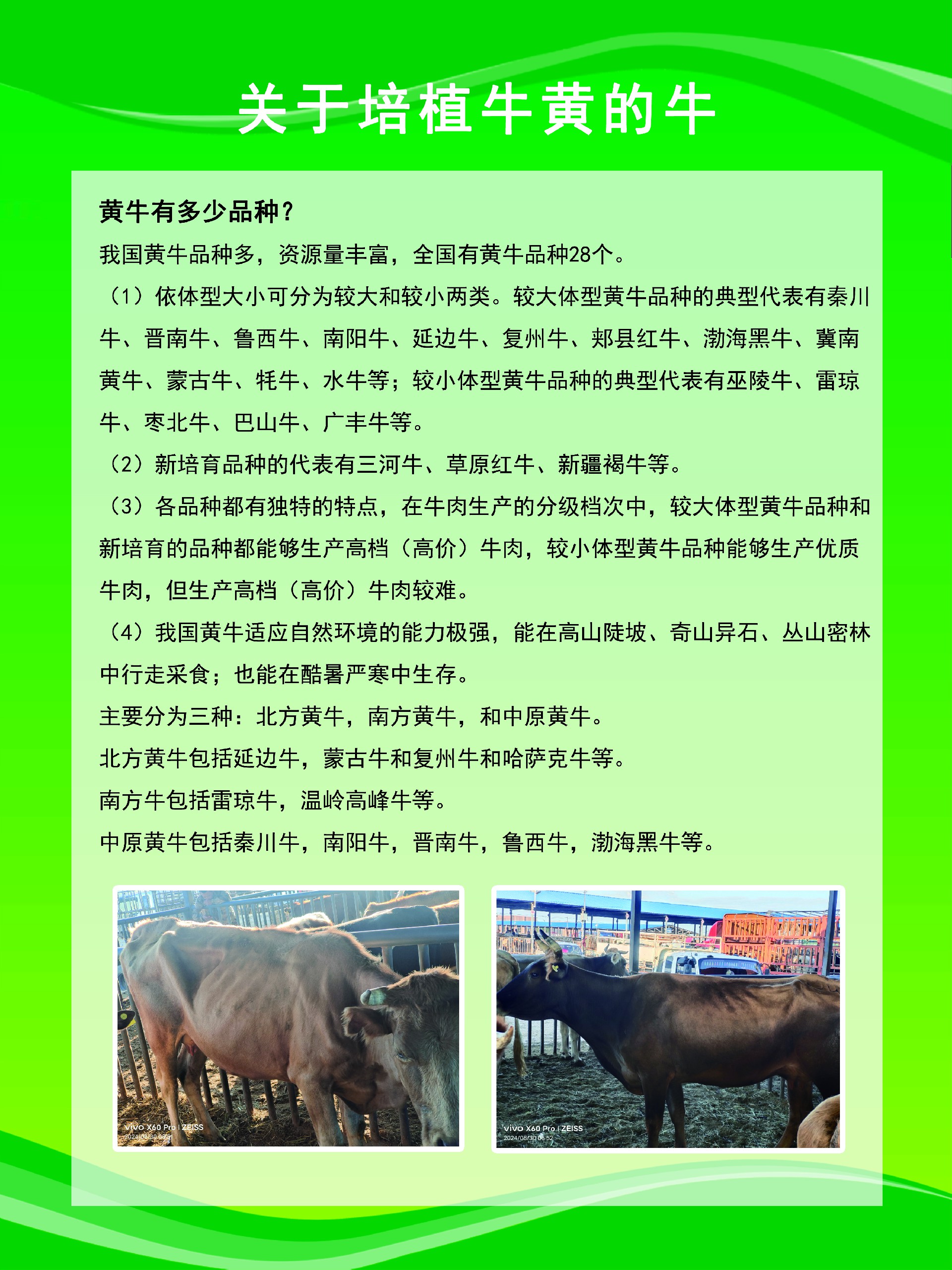 1759151842188775.jpg 09317252002ebe09ca661dc7bd4f50d4.jpg