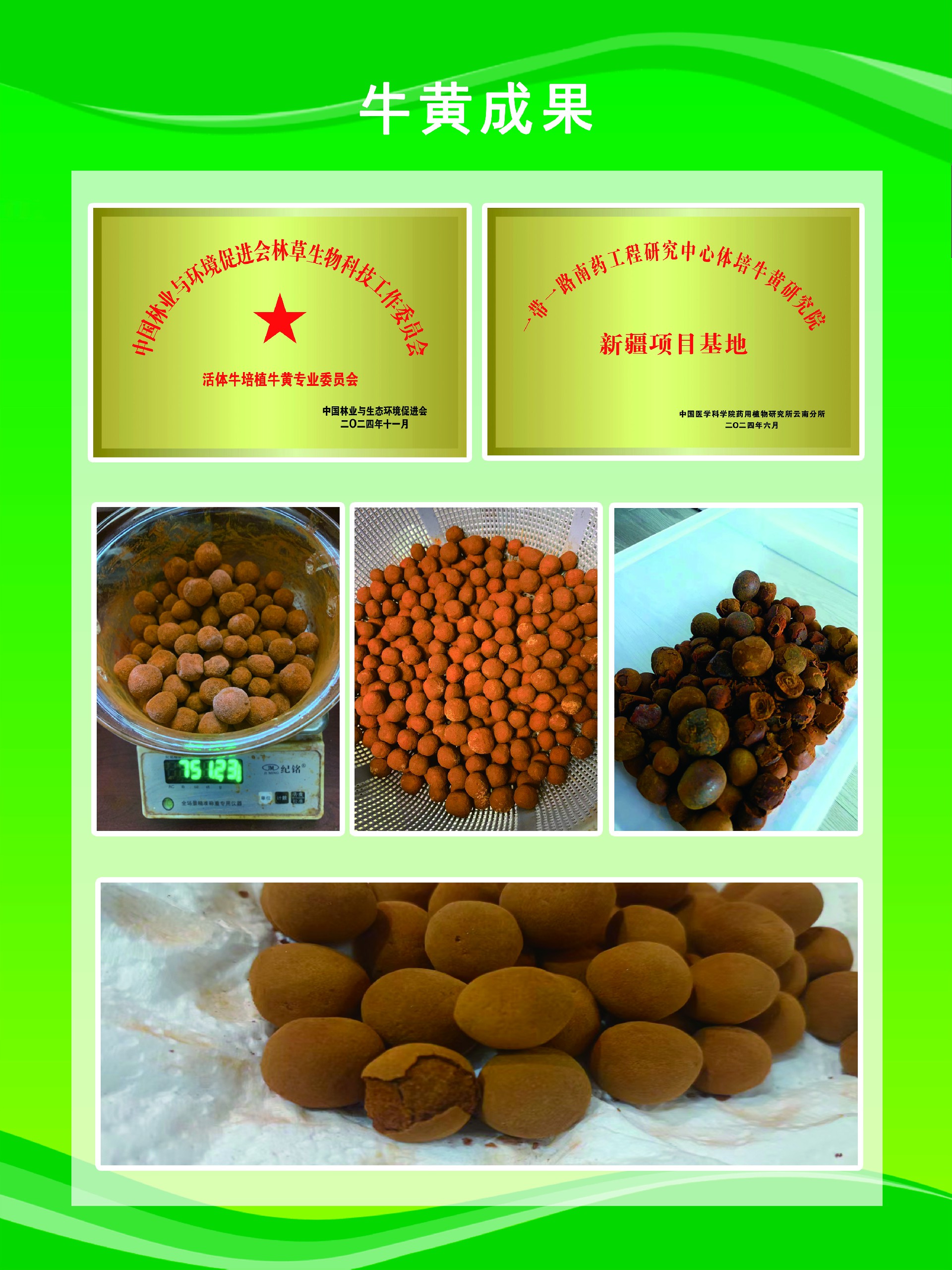 1759151879128348.jpg 17b5039f2ff008d3888676942e5921e7.jpg